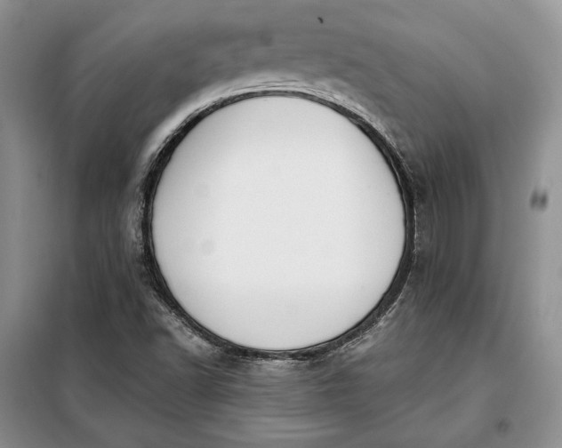 X0000098051502200804111259