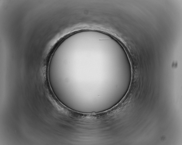 X0000098051503200804111259