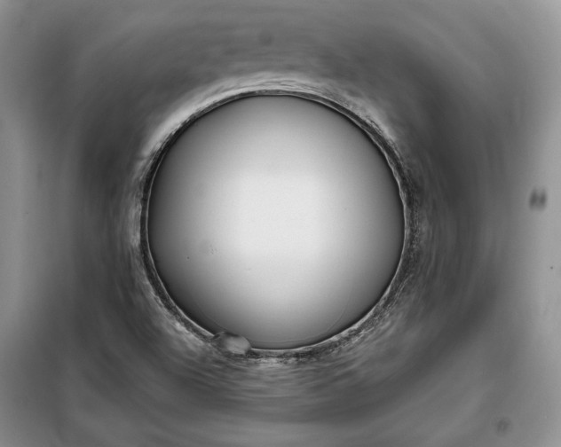 X0000098051504200804111259