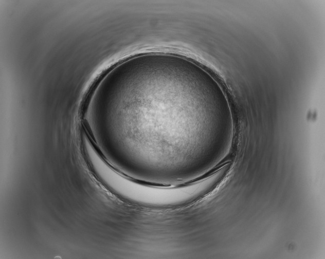 X0000098051506200804111259