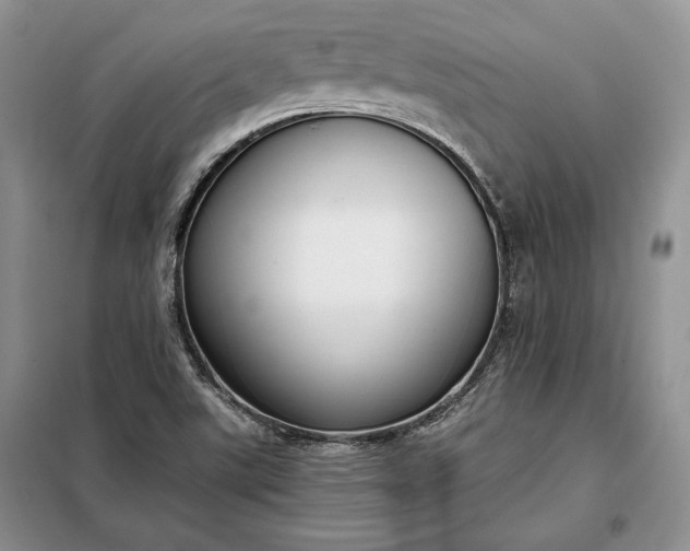 X0000098051507200804111259