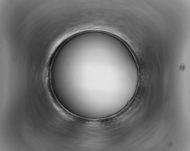 X0000098051511200804111259