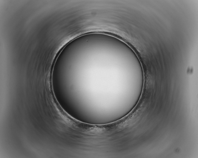 X0000098051513200804111259