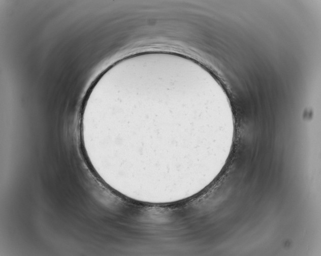 X0000098051514200804111259