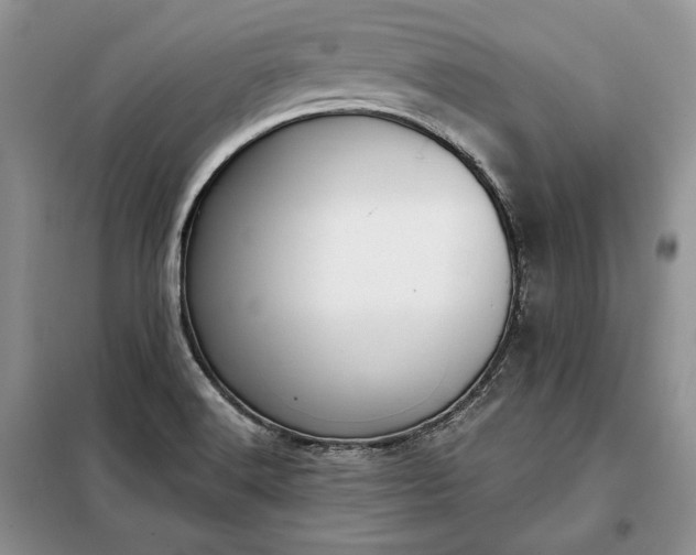 X0000098051516200804111259