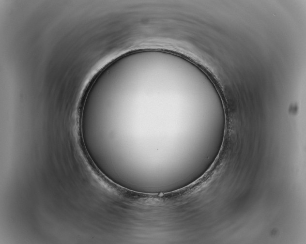 X0000098051517200804111259