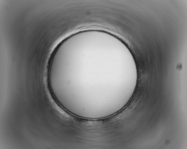 X0000098051518200804111259