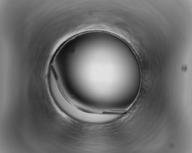 X0000098051519200804111259