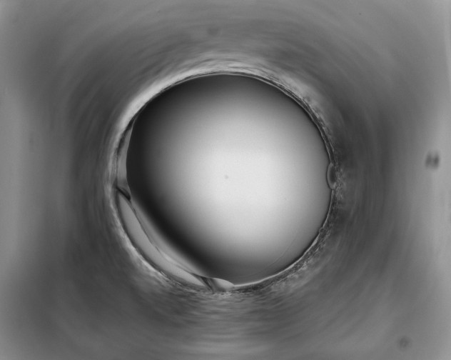 X0000098051520200804111259