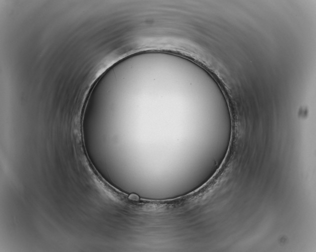 X0000098051521200804111259