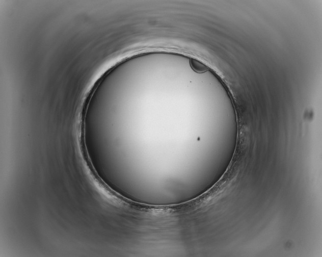 X0000098051523200804111259