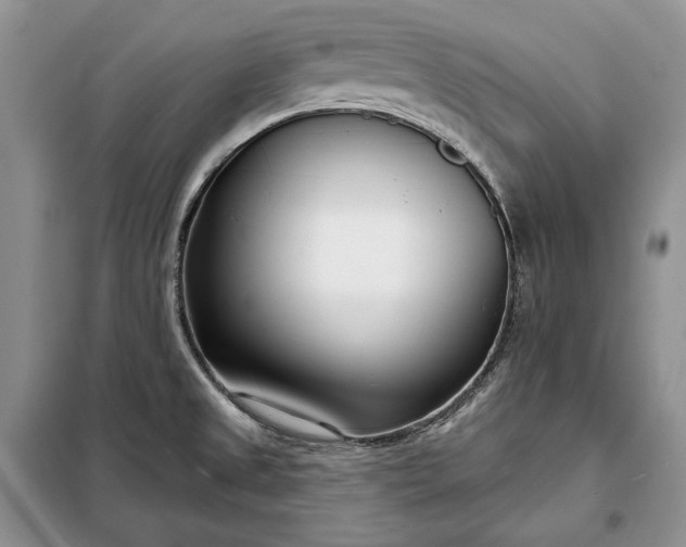 X0000098051525200804111259