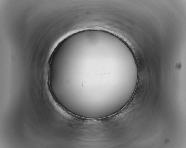 X0000098051526200804111259