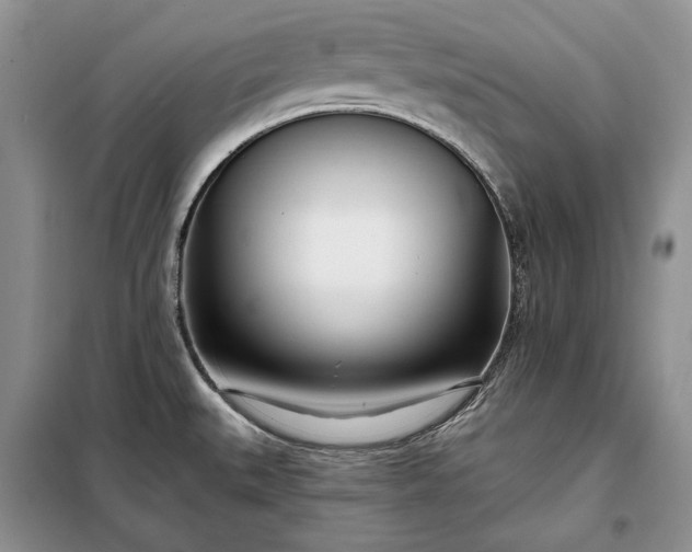 X0000098051527200804111259