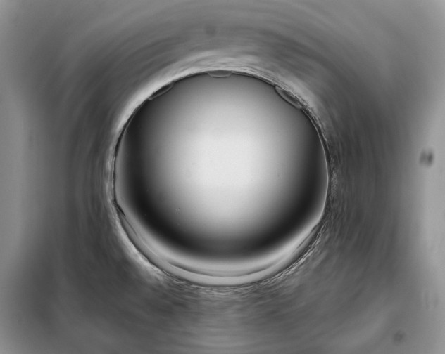 X0000098051528200804111259