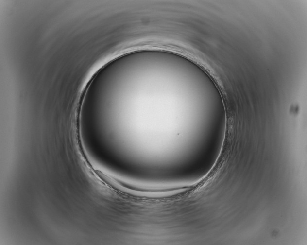 X0000098051530200804111259