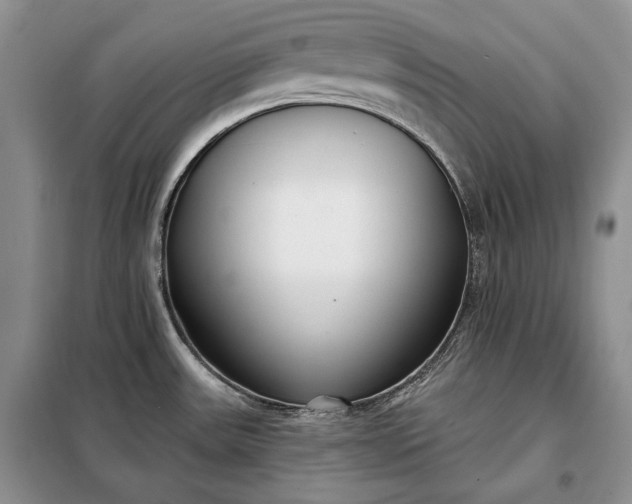 X0000098051531200804111259