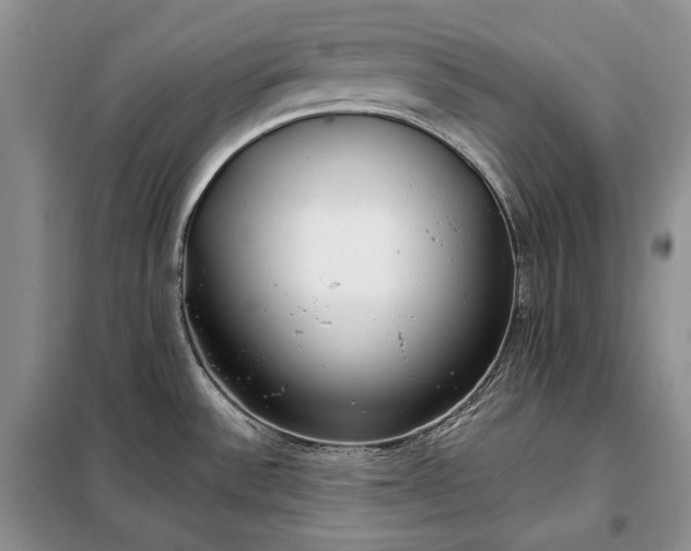 X0000098051532200804111259