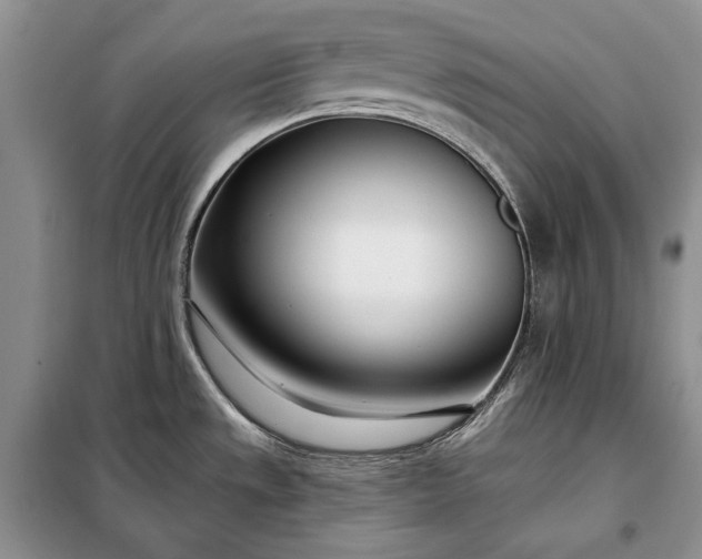 X0000098051533200804111259