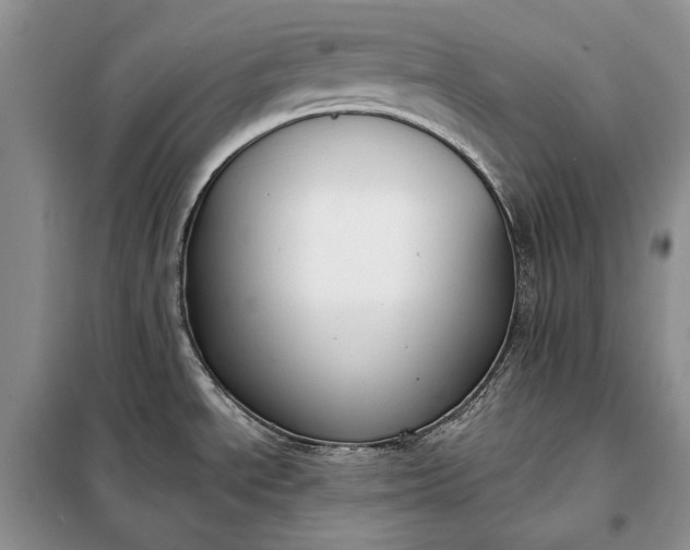 X0000098051534200804111259