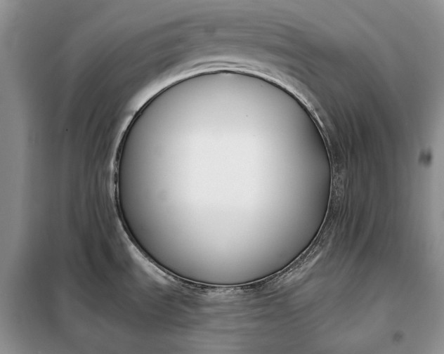 X0000098051535200804111259