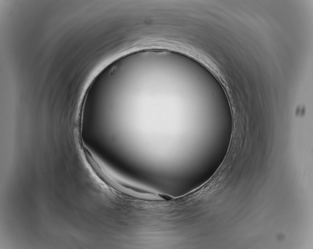 X0000098051536200804111259