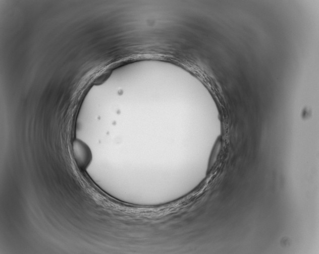 X0000098050001200804181335