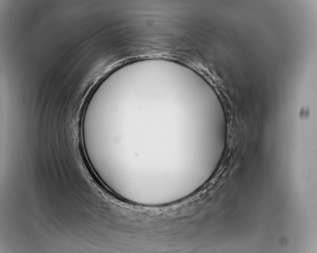 X0000098050002200804181335