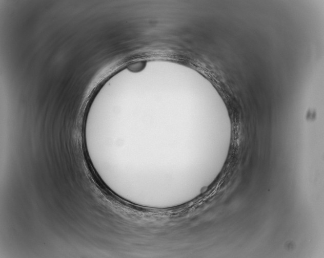 X0000098050004200804181335