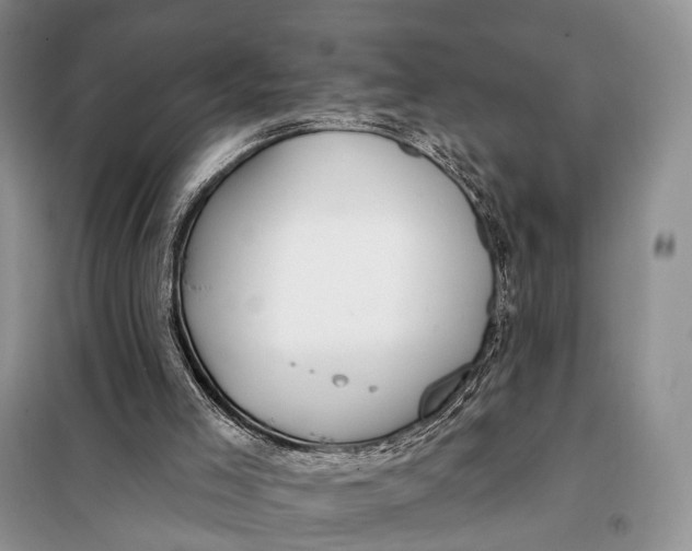 X0000098050005200804181335