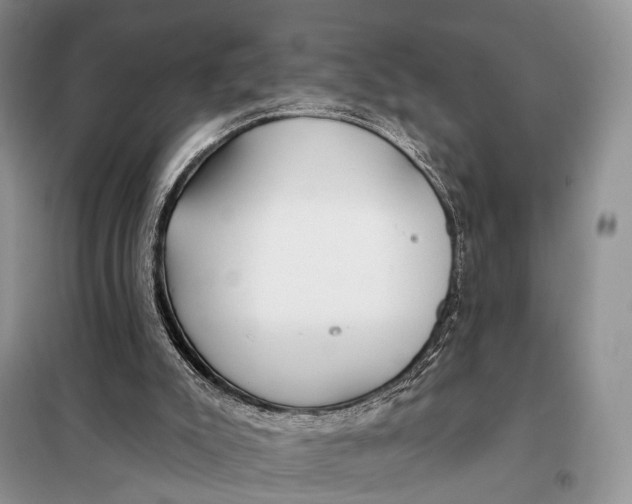 X0000098050007200804181335