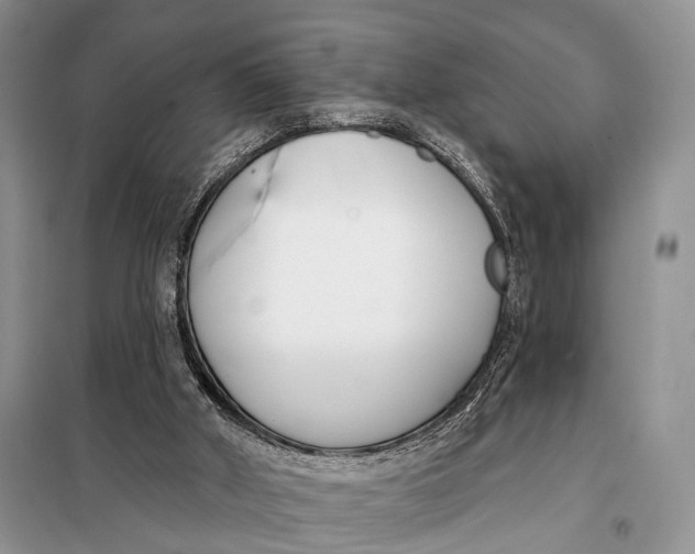 X0000098050010200804181335