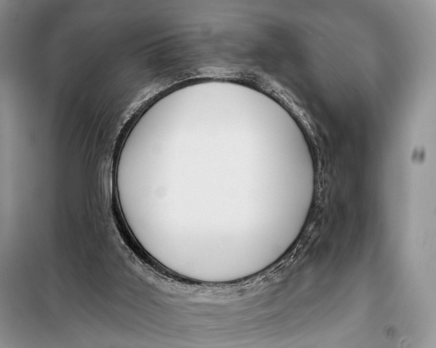 X0000098050011200804181335