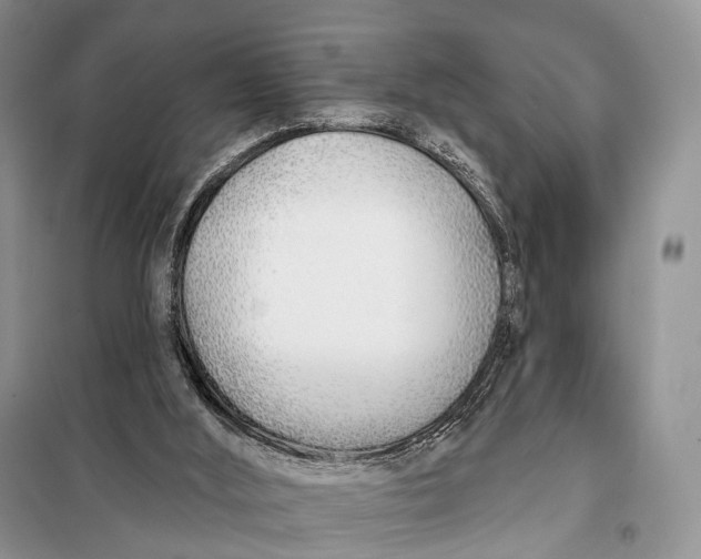 X0000098050012200804181335