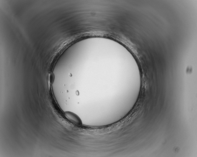 X0000098050013200804181335