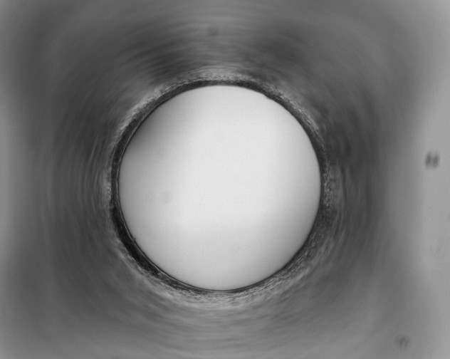 X0000098050015200804181335