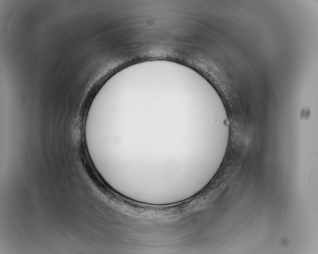 X0000098050016200804181335