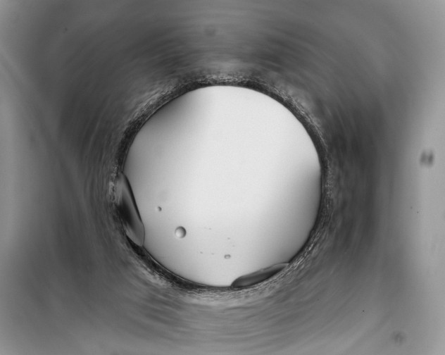 X0000098050017200804181335