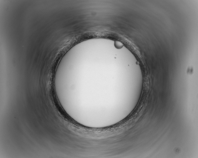 X0000098050018200804181335