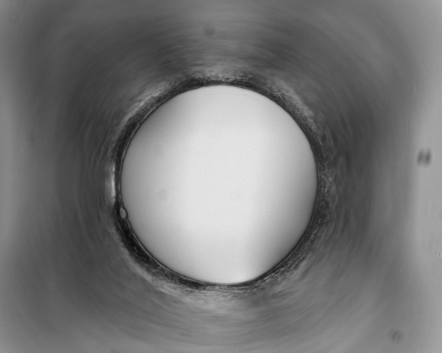 X0000098050020200804181335