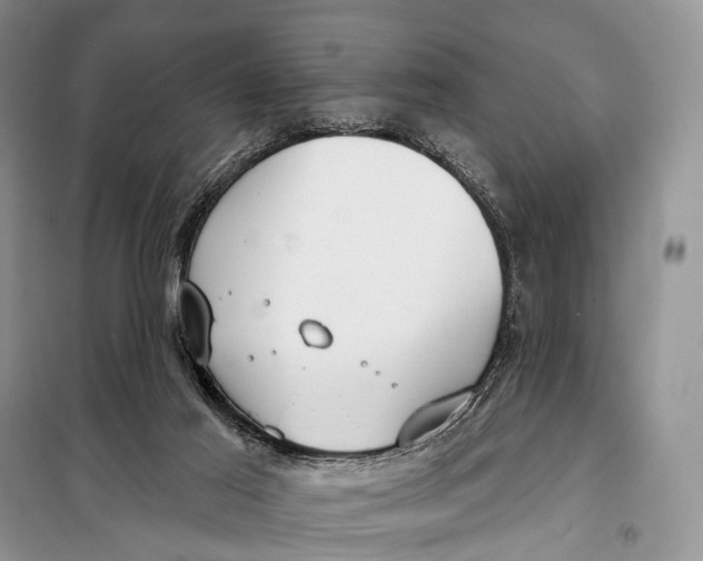 X0000098050021200804181335