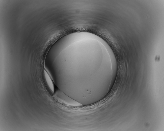 X0000098050023200804181335