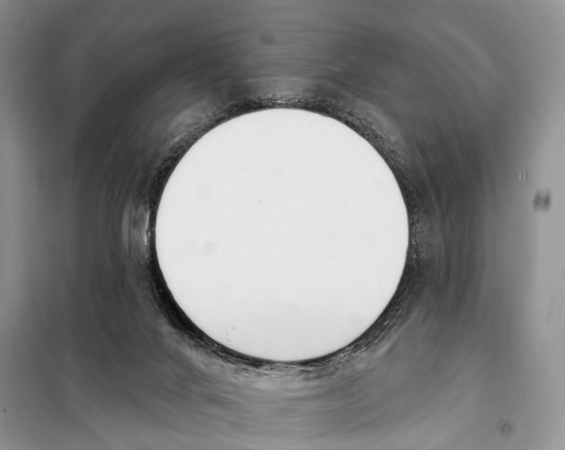 X0000098050024200804181335