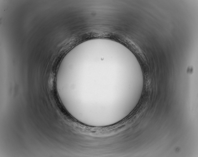 X0000098050026200804181335