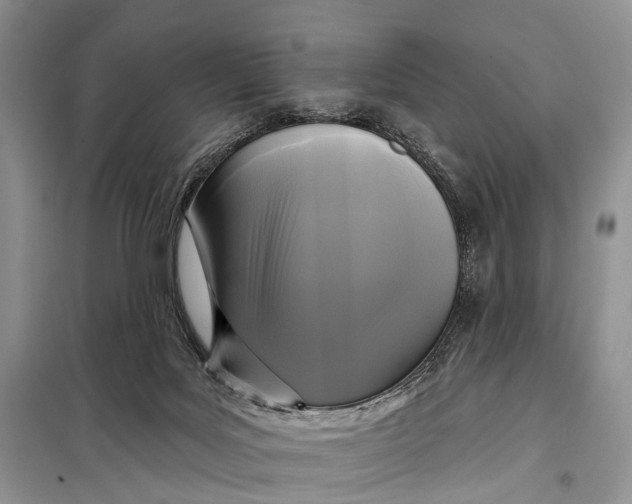 X0000098050027200804181335