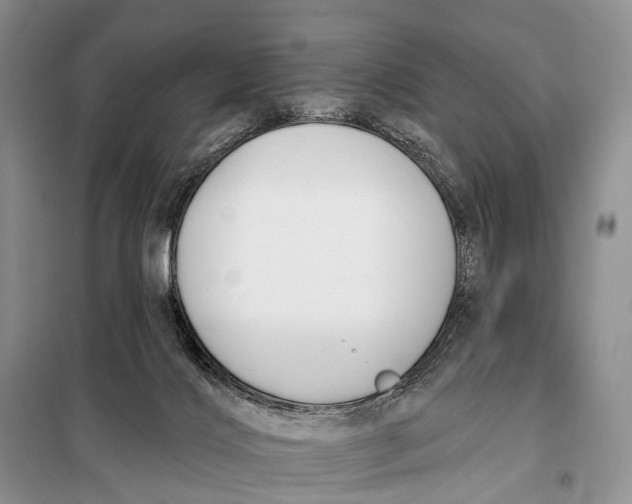 X0000098050028200804181335