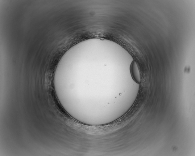 X0000098050030200804181335