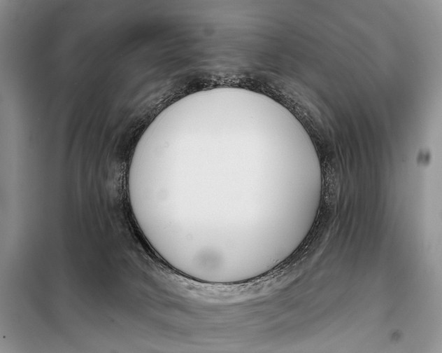 X0000098050034200804181335