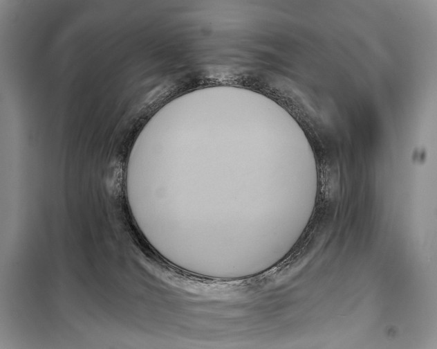 X0000098050036200804181335