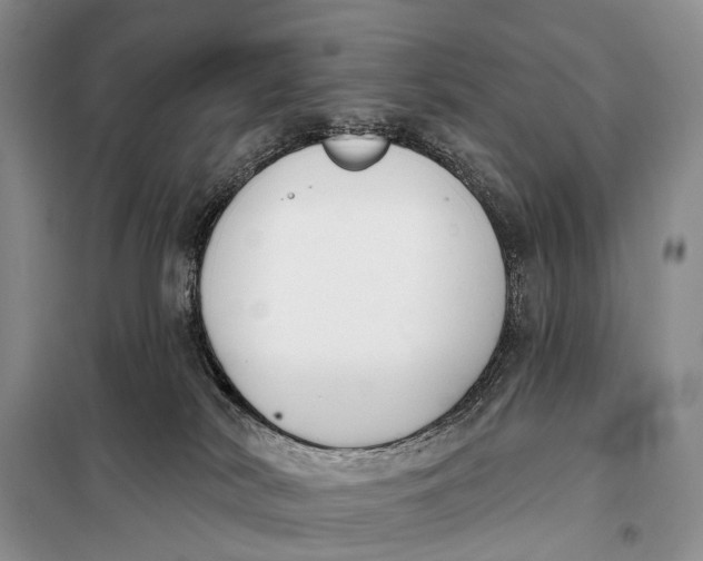 X0000098050038200804181335